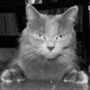 Meet your Posher, Merryn